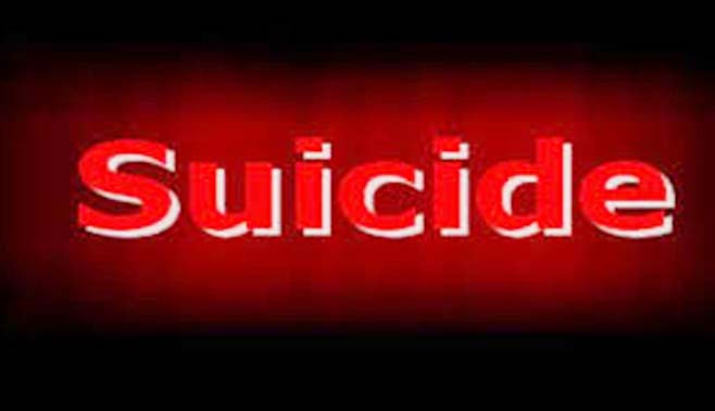 शहरात तिघांची आत्महत्या: विवाहिता प्रकरणात सासरच्यांविरुध्द गुन्हा
