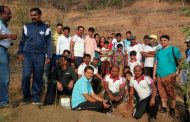 राजस्थानच्या 'ट्री मॅन'चे घोरावडेश्वर डोंगरावर श्रमदान