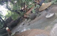 केजुदेवी उद्यानात सोडलं जातंय मैलमिश्रीत पाणी; दुर्गंधीने नागरिक आणि पर्यटक हैराण