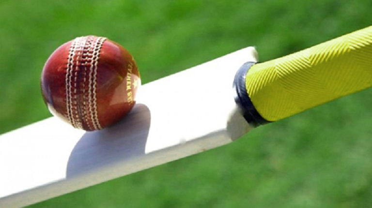 क्रिकेट स्पर्धेत पिंपरी-चिंचवड महापालिका संघाचा विजय