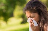 सकाळी उठल्या उठल्या खूप शिंका येतात? ६ उपाय सर्दी, एलर्जीचा त्रास अजिबात होणार नाही