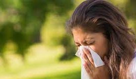 सकाळी उठल्या उठल्या खूप शिंका येतात? ६ उपाय सर्दी, एलर्जीचा त्रास अजिबात होणार नाही